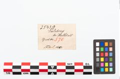 Etikett zu Bronzevierpassspiralfibel (NHMW-PRAE-025439)